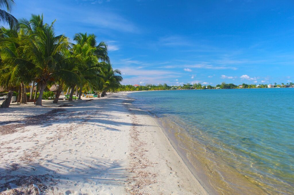 beach, sea, palm trees, sand, vacation, summer, placencia, belize, island, paradise, placencia, placencia, placencia, placencia, placencia, belize, belize, belize, belize, belize